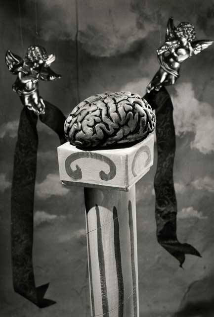 Cherubs celebrating the human brain